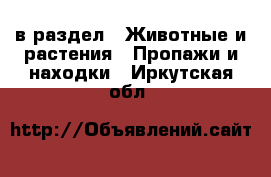  в раздел : Животные и растения » Пропажи и находки . Иркутская обл.